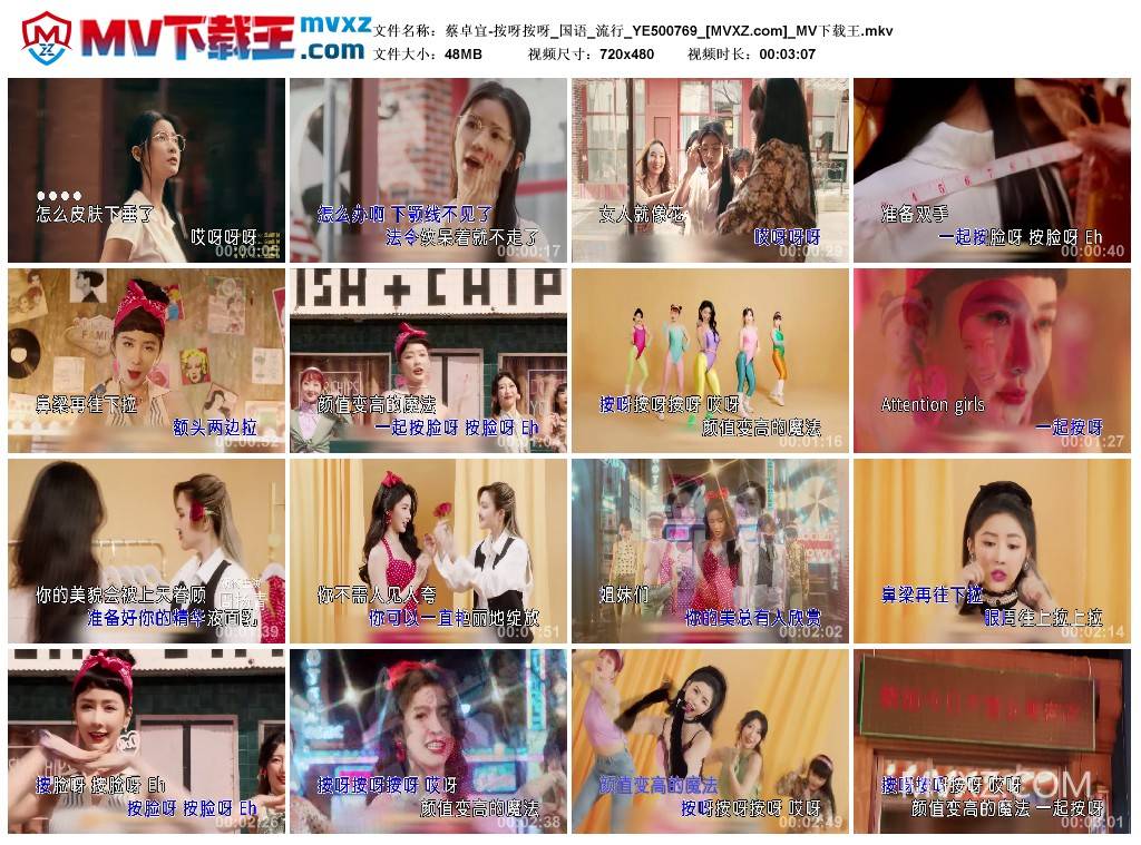 蔡卓宜-按呀按呀_国语_流行_YE500769